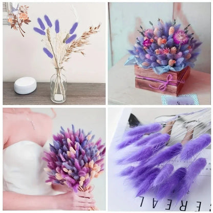 100Pcs Natural Purple Bunny Tails – Dried Flowers for DIY Crafts, Home Decor & Wedding Floral Arrangements