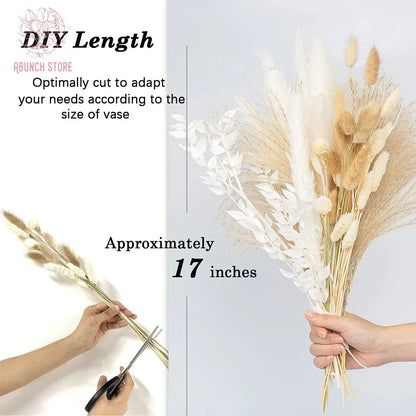 Natural Dried Pampas Grass Bouquet – 8 Style Options for Boho Home, Wedding Decor, Bunny Tails & Vase Arrangements