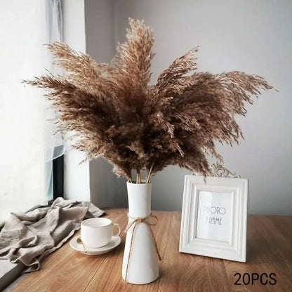 20pcs Natural Water Pampas Grass Bouquet – Nordic Style Dried Flowers for Home Decor, Country Weddings & Goldenrod Arrangements