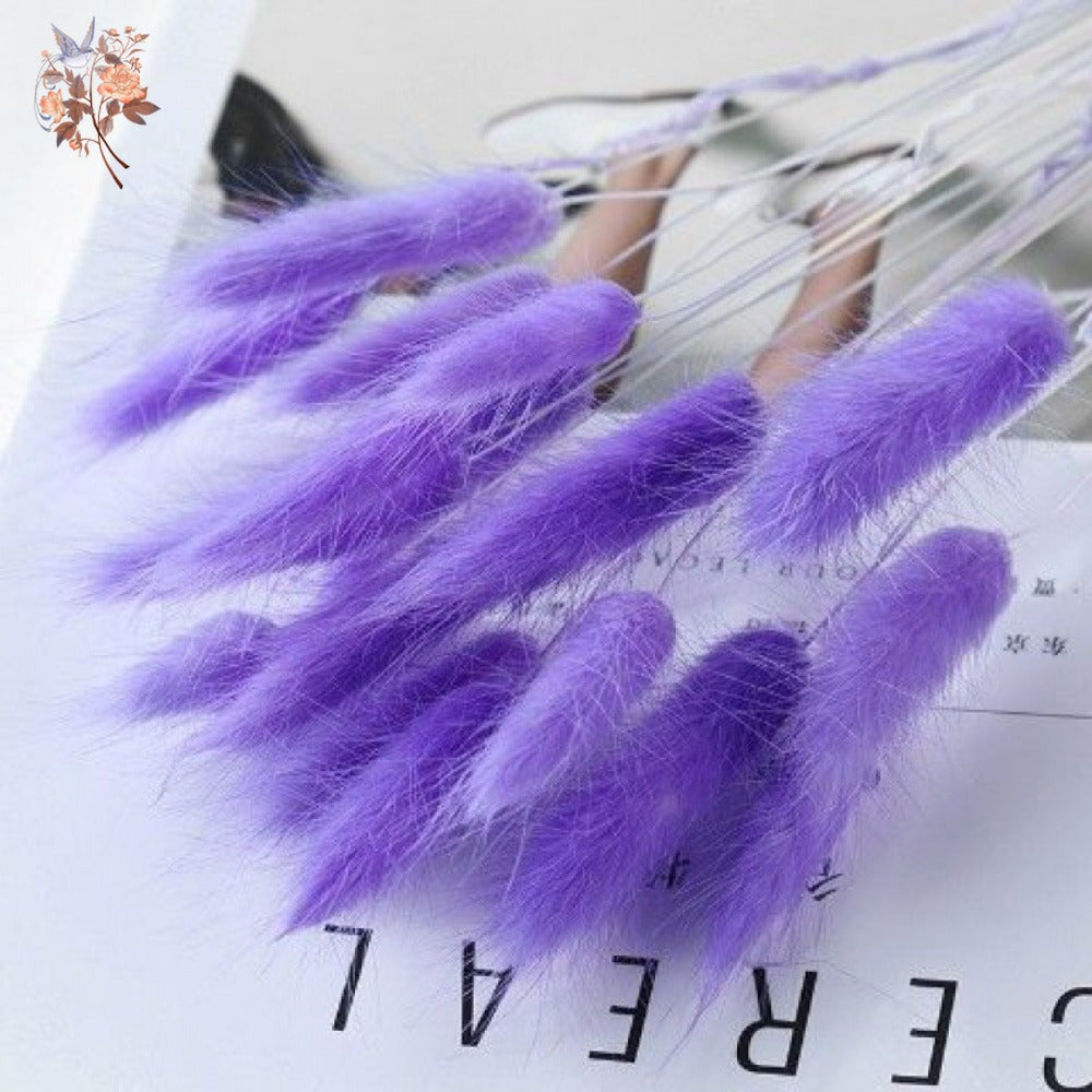 100Pcs Natural Purple Bunny Tails – Dried Flowers for DIY Crafts, Home Decor & Wedding Floral Arrangements