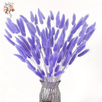 100Pcs Natural Purple Bunny Tails – Dried Flowers for DIY Crafts, Home Decor & Wedding Floral Arrangements