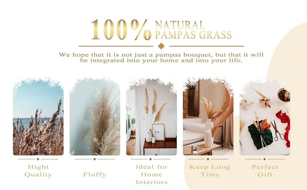 Dried Pampas Grass Bouquet – 5 Color Options for Boho Rustic Home Decor, Table Vase & Farmhouse Floral Arrangements