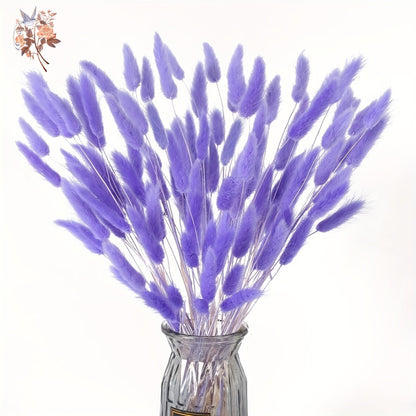 100Pcs Natural Purple Bunny Tails – Dried Flowers for DIY Crafts, Home Decor & Wedding Floral Arrangements