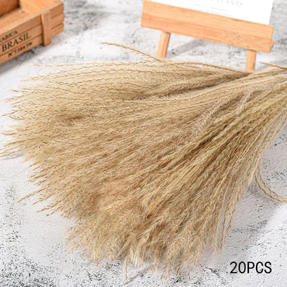 20pcs Natural Water Pampas Grass Bouquet – Nordic Style Dried Flowers for Home Decor, Country Weddings & Goldenrod Arrangements