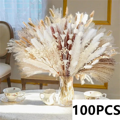 Natural Dried Pampas Grass Bouquet – 8 Style Options for Boho Home, Wedding Decor, Bunny Tails & Vase Arrangements