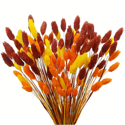 60pcs Natural Dried Phalaris Bouquet – 11 Color Options for Boho Vase Decor, Wedding & Christmas Arrangements