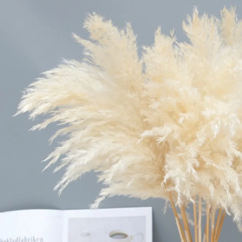 20pcs Natural Water Pampas Grass Bouquet – Nordic Style Dried Flowers for Home Decor, Country Weddings & Goldenrod Arrangements