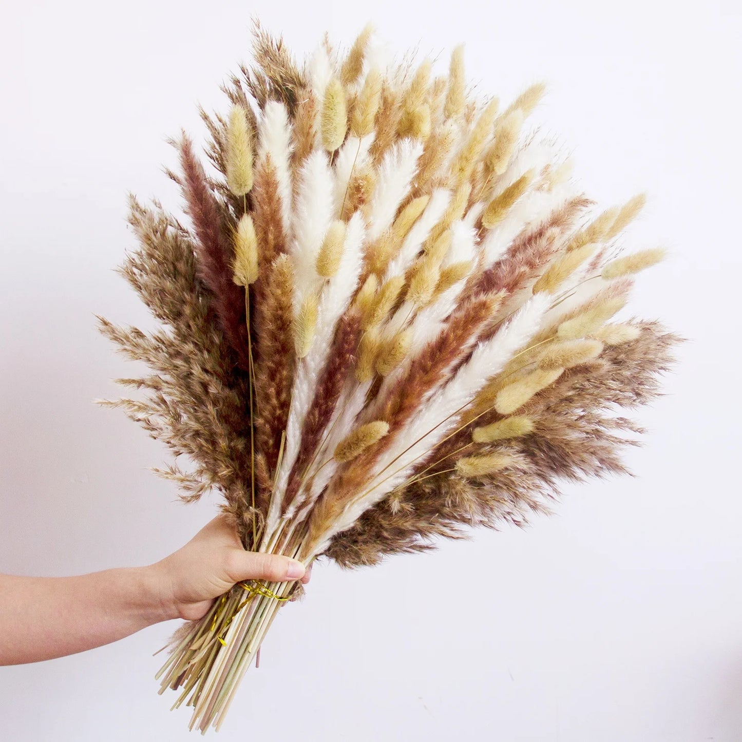 150pcs Natural Pampas Mix Dried Flowers Bouquet – 7 Color Options for Boho Wedding Centerpieces, Home Vase Decor & Bunny Tails