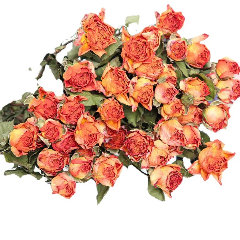 30pcs Natural Preserved Roses Bouquet – 5 Color Options for Wedding, Home Decor, Table Arrangements & DIY Epoxy Resin Crafts, Dried Flowers