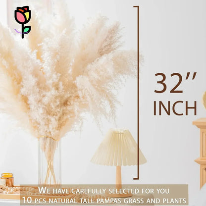 20pcs Natural Water Pampas Grass Bouquet – Nordic Style Dried Flowers for Home Decor, Country Weddings & Goldenrod Arrangements