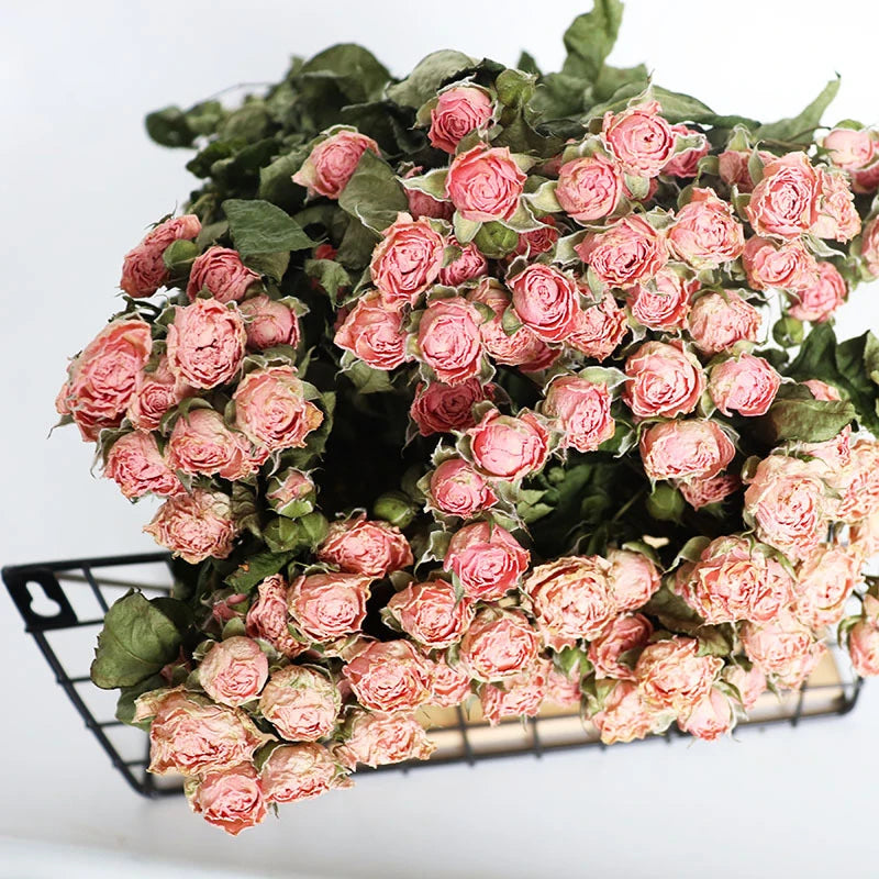 30pcs Natural Preserved Roses Bouquet – 5 Color Options for Wedding, Home Decor, Table Arrangements & DIY Epoxy Resin Crafts, Dried Flowers