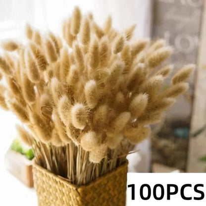 Natural Dried Pampas Grass Bouquet – 8 Style Options for Boho Home, Wedding Decor, Bunny Tails & Vase Arrangements