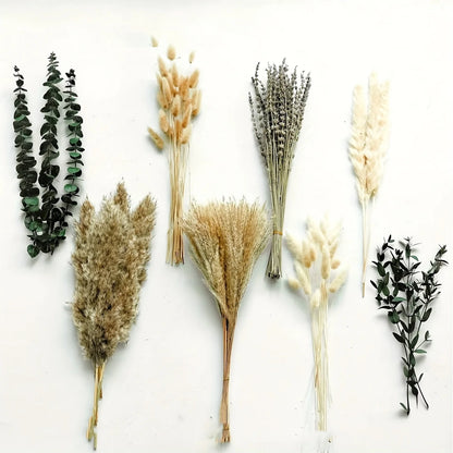 Dried Pampas Grass Bouquet – 5 Color Options for Boho Rustic Home Decor, Table Vase & Farmhouse Floral Arrangements