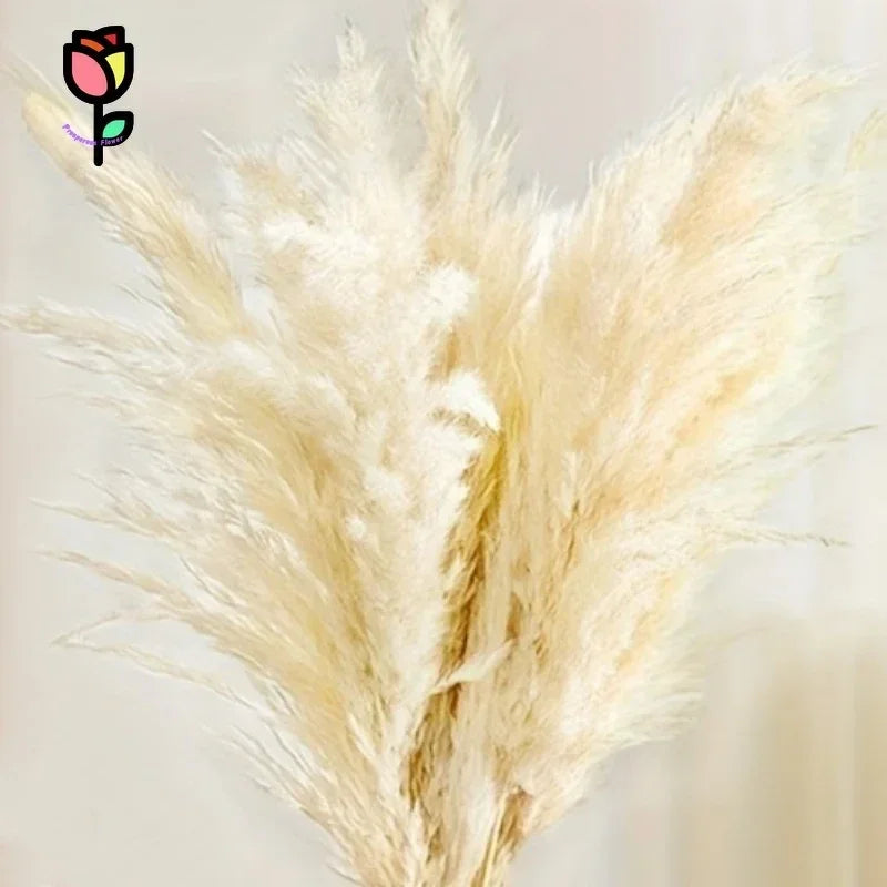 20pcs Natural Water Pampas Grass Bouquet – Nordic Style Dried Flowers for Home Decor, Country Weddings & Goldenrod Arrangements